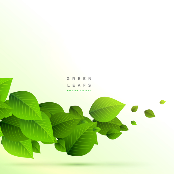 Vector green leaves background design 01  