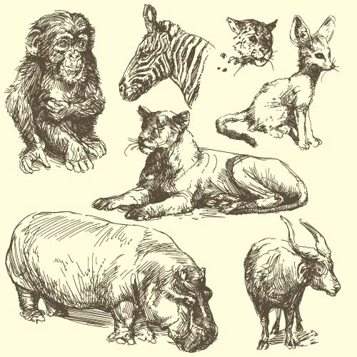 Wild animals hand drawing vectors set 03  