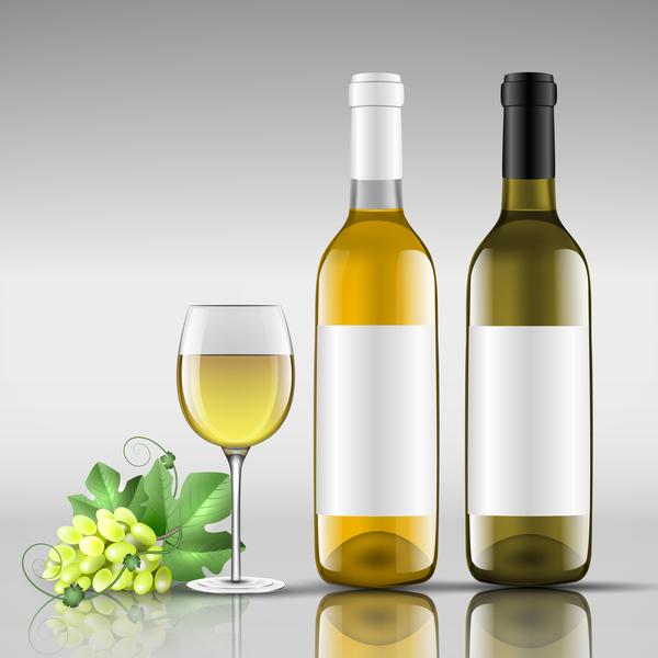 Wine with glass cup vector design 06  