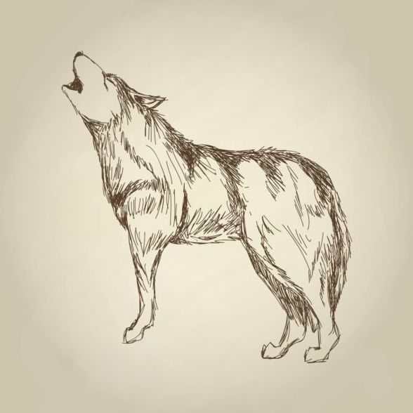 オオカミの手図面デザイン ベクター素材 07  