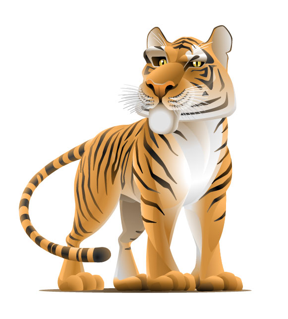 Set of Tiger vector picture art 07  