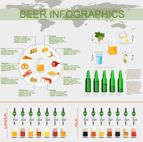 Beer infographic business template vector 04  