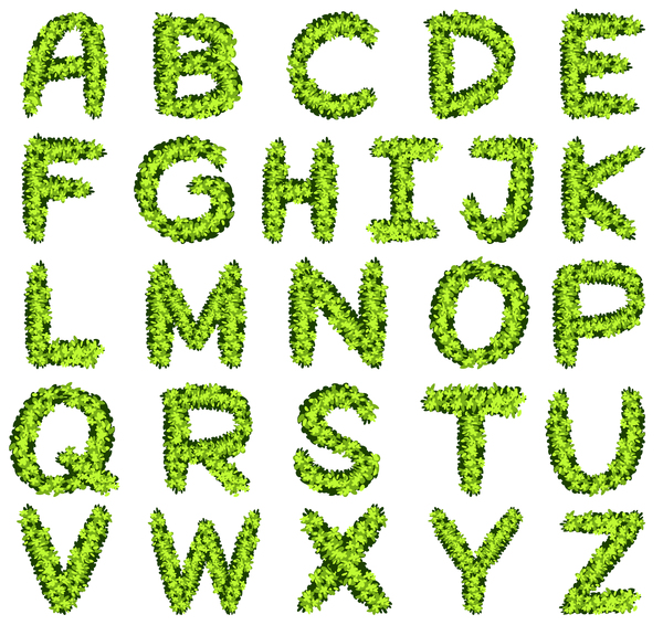 Vecteur créatif alphabet plante verte  