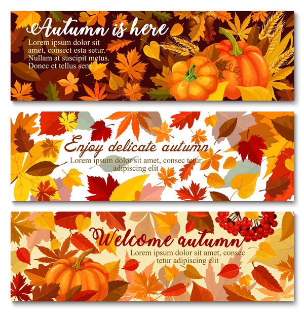 Harvest the fall banner vector material 04  