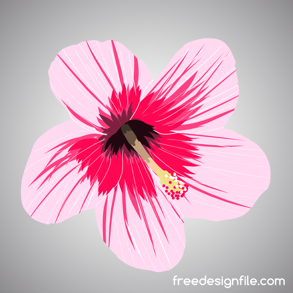 Pink tropical flowers vector material 02  