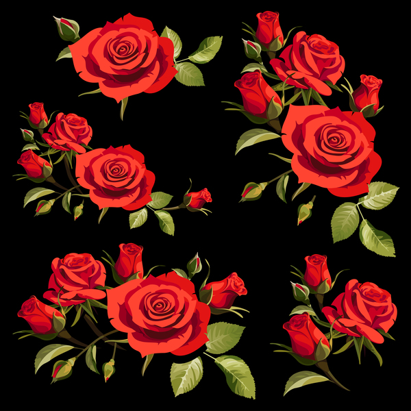 黒背景ベクトルと赤いバラ  