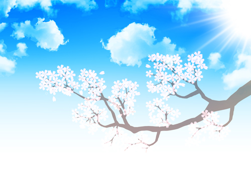 Sakura with blue sky vector background 01  