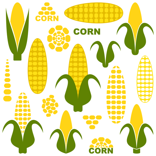 Vector corn design elements  