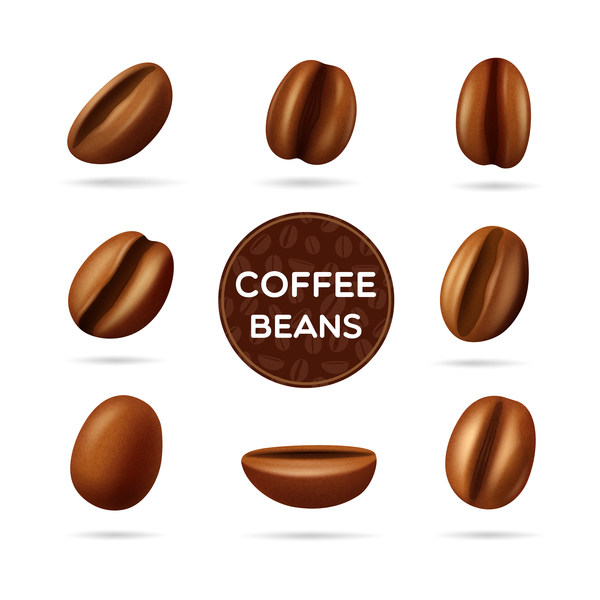 コーヒー豆のイラストベクター  