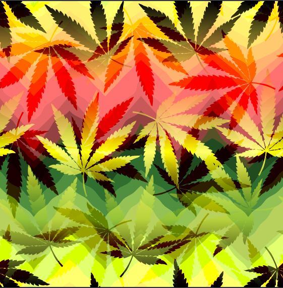 hemp leaves with modern background vector 01  