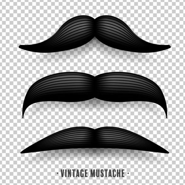 Moustache noire illustration vecteur 06  