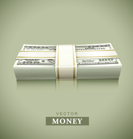 Set of Dollars in bundles design vector 02  