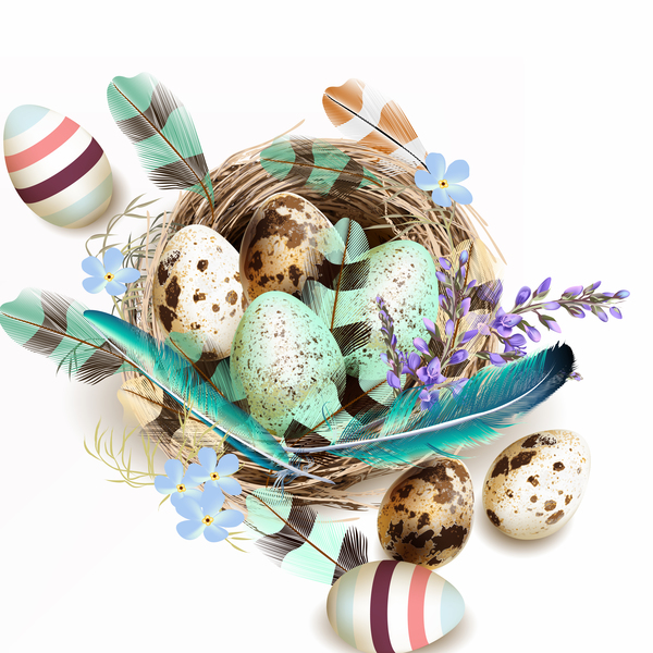 Fond de Pâques avec des œufs de nids d’oiseaux et de plumes vecteur 05  
