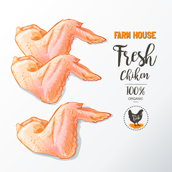 Fresh chicken wings meat poster vector 03  