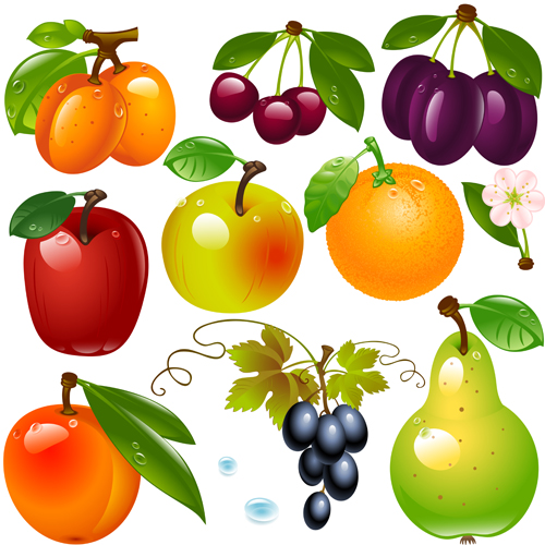 Realistic fruits and berry design vector 04  