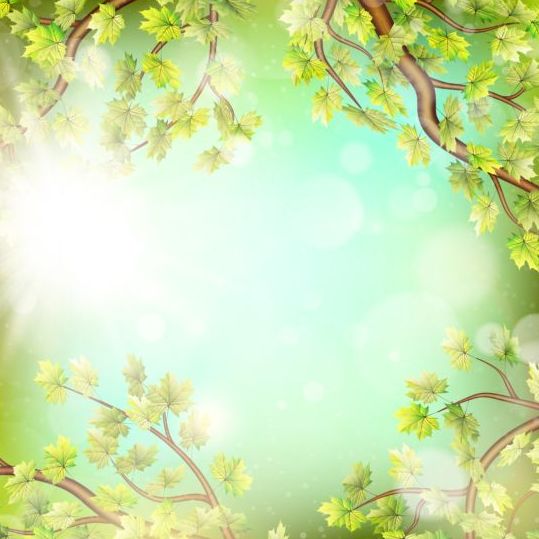 Summer green leaves with sunlight background vector 05  