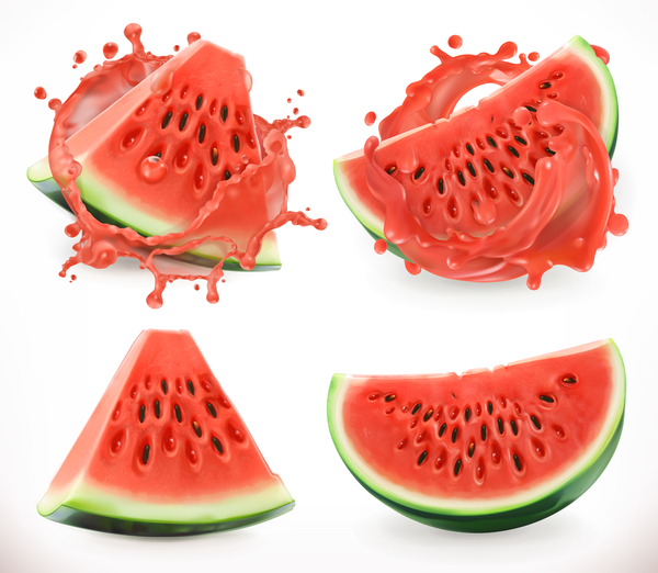 Watermelon juice and splash vector  
