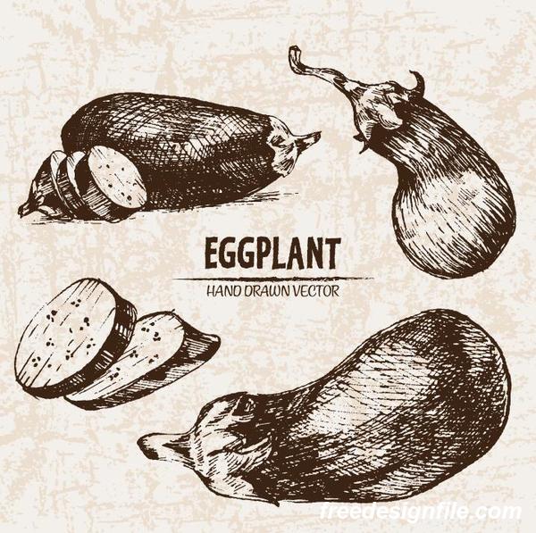 eggplant hand drawing retor vector  