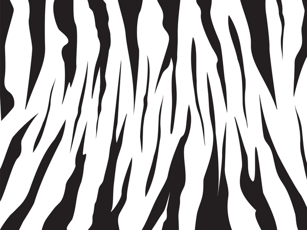 Zebra sans soudure motif matériaux vecteurs ensemble 03  