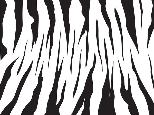 zebra seamless pattern material vectors set 03  