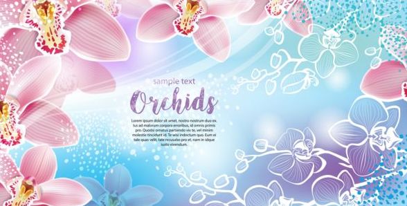 Beautiful orchids flowers vector backgrounds 02  