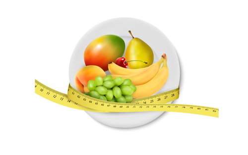 Fruit plate elements vector  