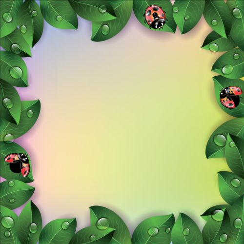 Green leaves with ladybug frame vector  