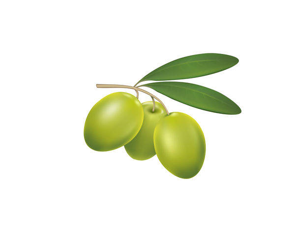 Grüne Oliven auf einem weißen Hintergrund-Vektor  