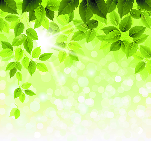 Refreshing green leaves background vector 03  