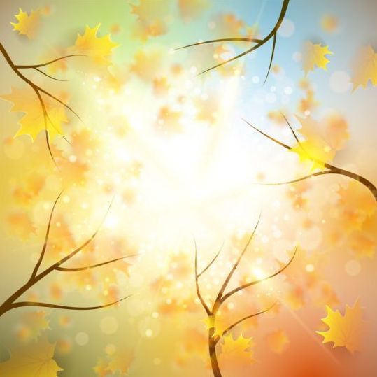 Boom bladeren met zonlicht herfst achtergrond vector  