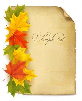 Beautiful maple leaf background vector set  