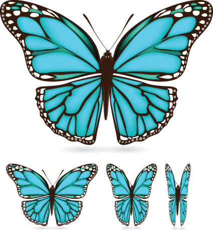 Different color butterfly sample vector 03  