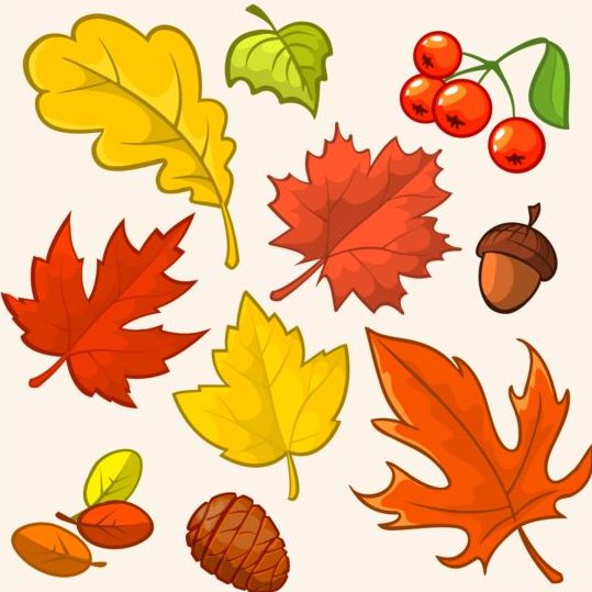 Herbstblätter mit Butter und Beeren Vektor  