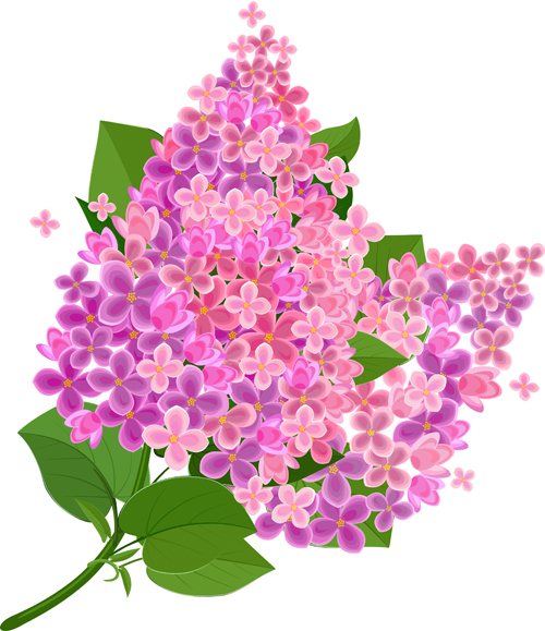 Gree leaf with pink flower background vector 01  