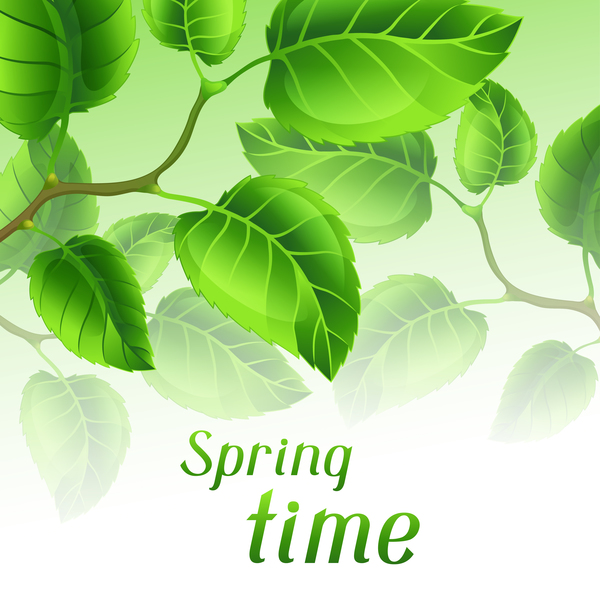 Green leaves with spring backgrounds art vector 01  