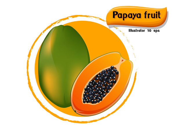 Papaya-Fruchtillustrationsvektor  