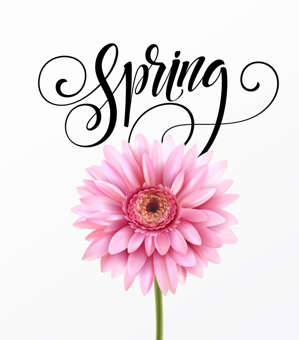 Pink gerbera flower with spring background vector 07  