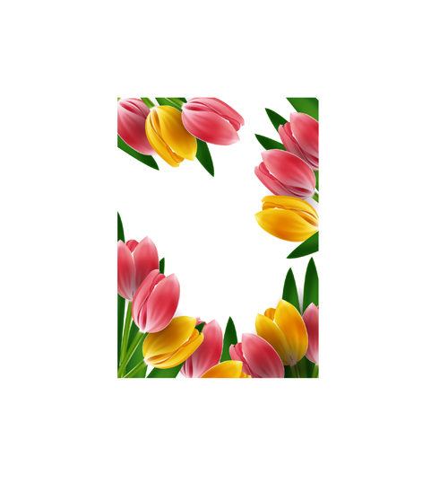 Tulips frames vector 02  