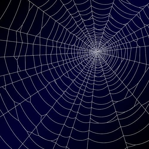 Vector spider web design background graphics 04  