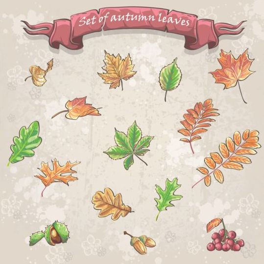 Autumn frame with sale vector material 04  