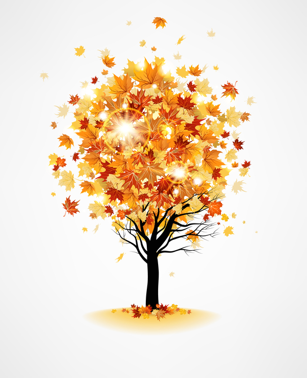 秋の木、葉、ベクトル、materila  