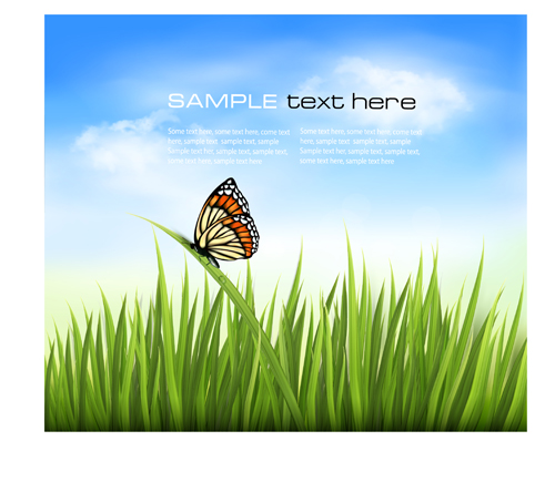 Beautiful butterfly and green grass vector background 01  