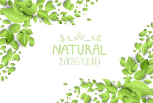 Eco style natural background vector 01  