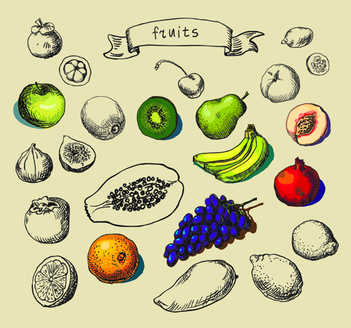 Hand drawn fruit creative vector material  