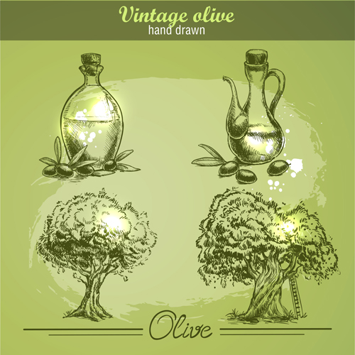Hand drawn vintage olive vector 01  