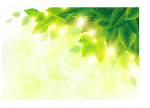 Spring sunlight with green leaves background vector 01  
