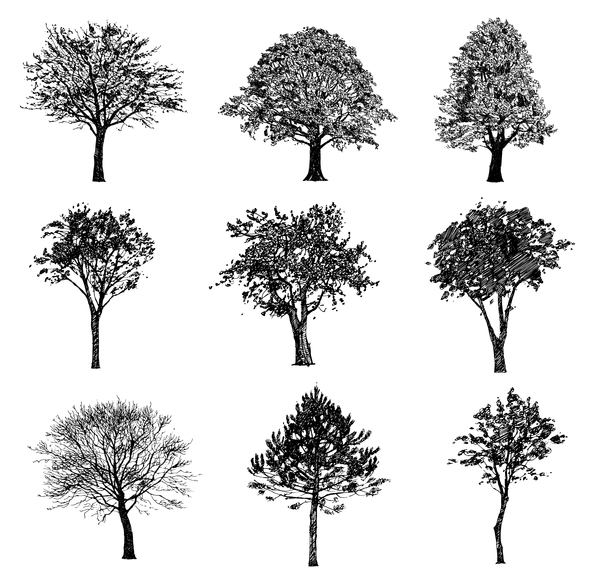 Différents vecteurs de silhouette d’arbre la valeur 01  