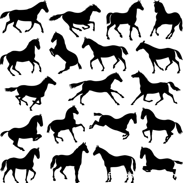 Set de silhouette vector chevaux 04  