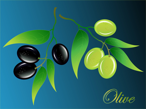 Vector olive art background set 05  