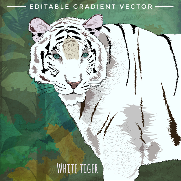 White tiger hand drawn vector  